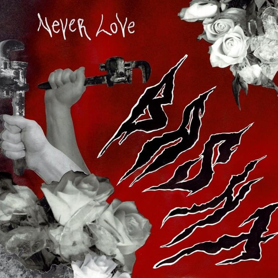 Never Love. - Single