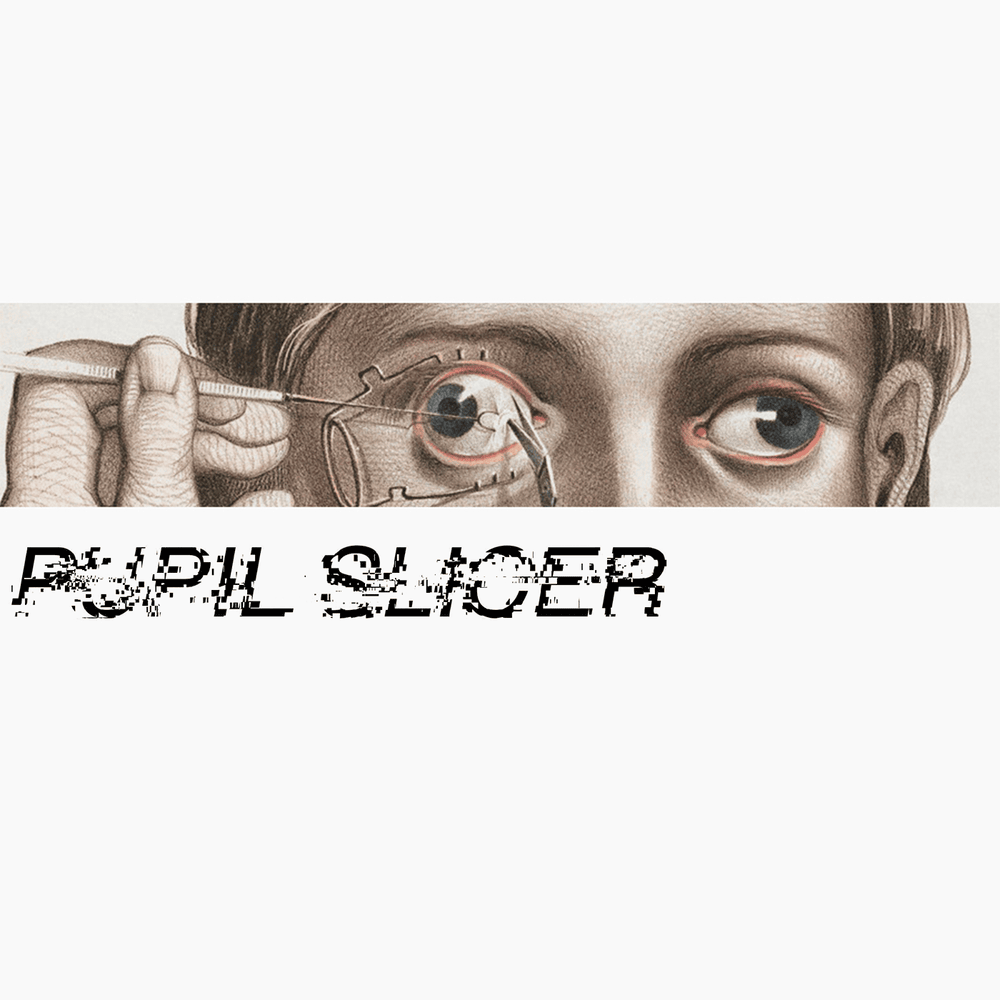 Pupil Slicer