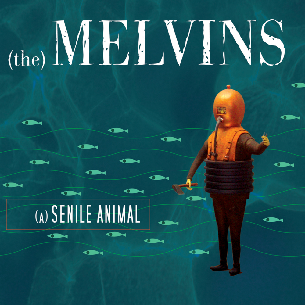 (A) Senile Animal