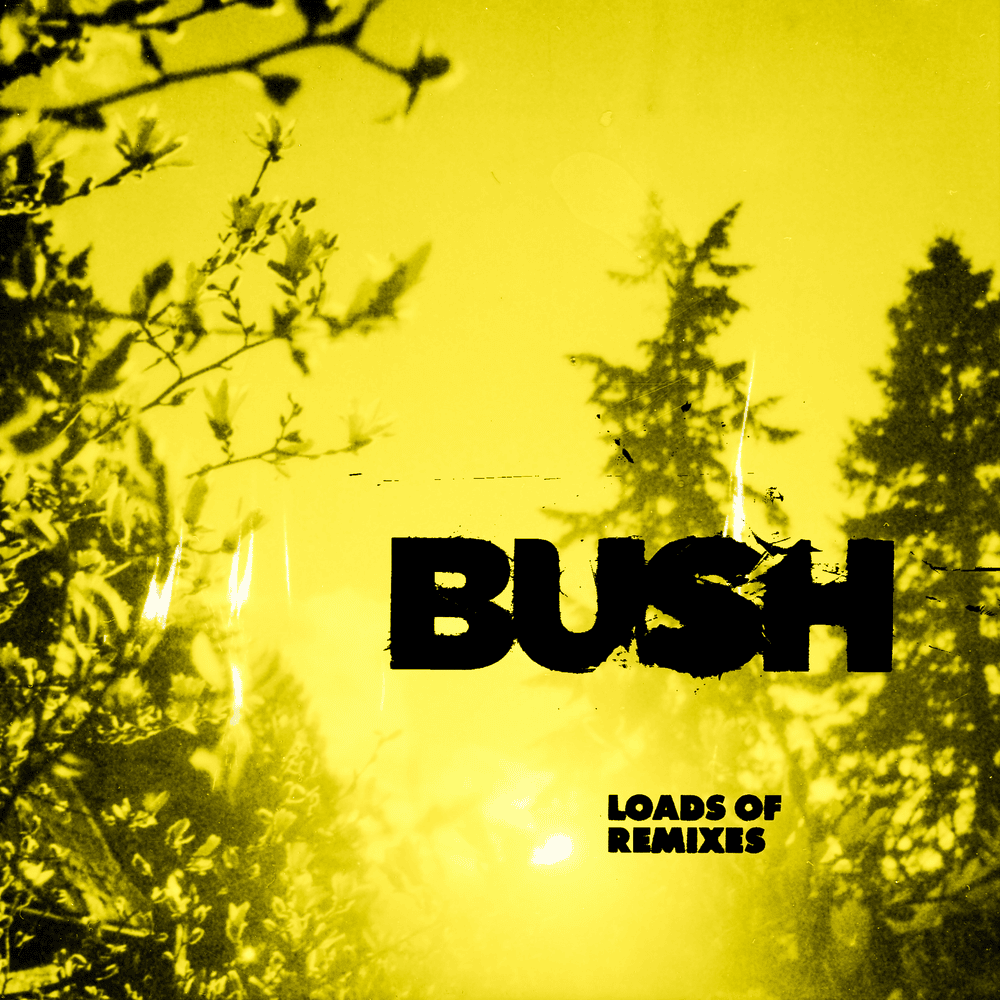 Loads of Remixes