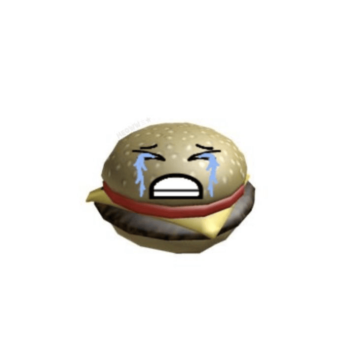 swiftorbit