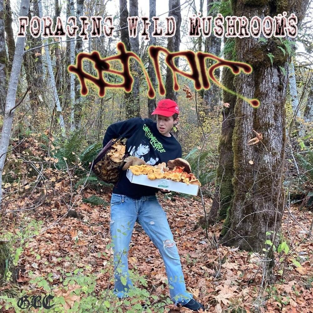 Foraging Wild Mushrooms