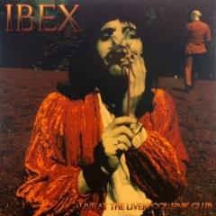 Live At The Liverpool Sink Club