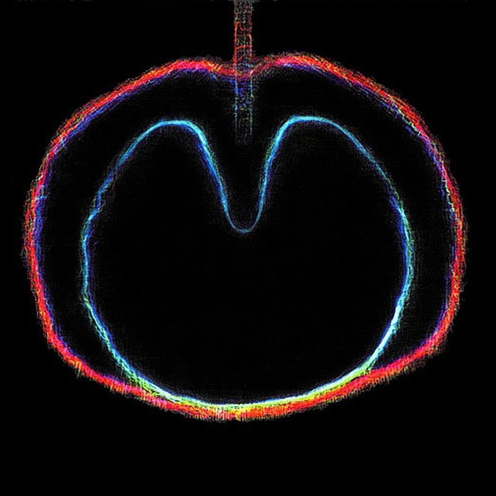Wasp Star (Apple Venus Volume 2) 