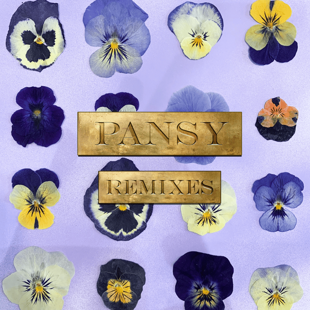 PANSY Remixes