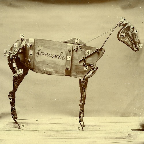 The Horse Comanche (Commentary)