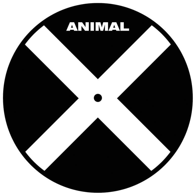 Animal X