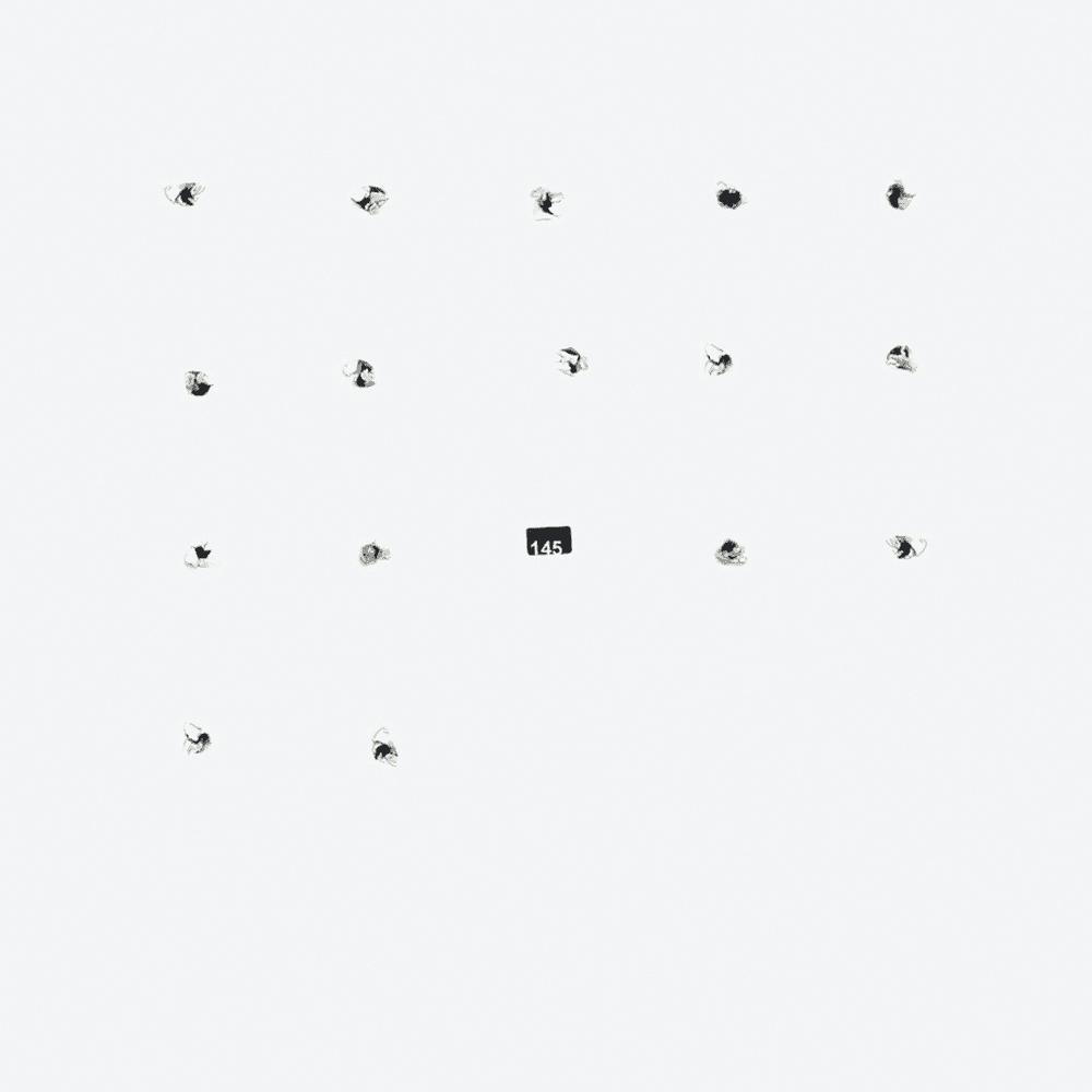 FatCat Split Series #16