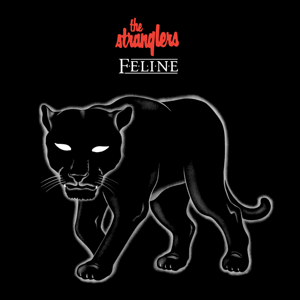 Feline