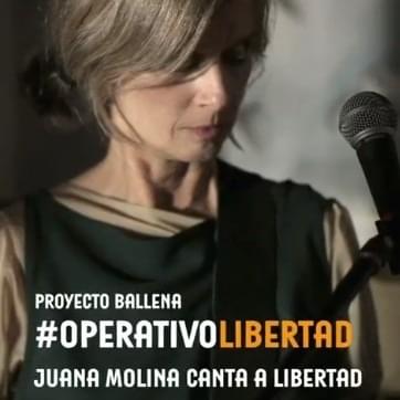 Operativo Libertad
