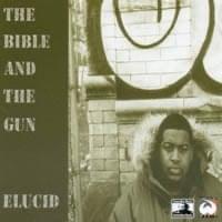 The Bible and the Gun