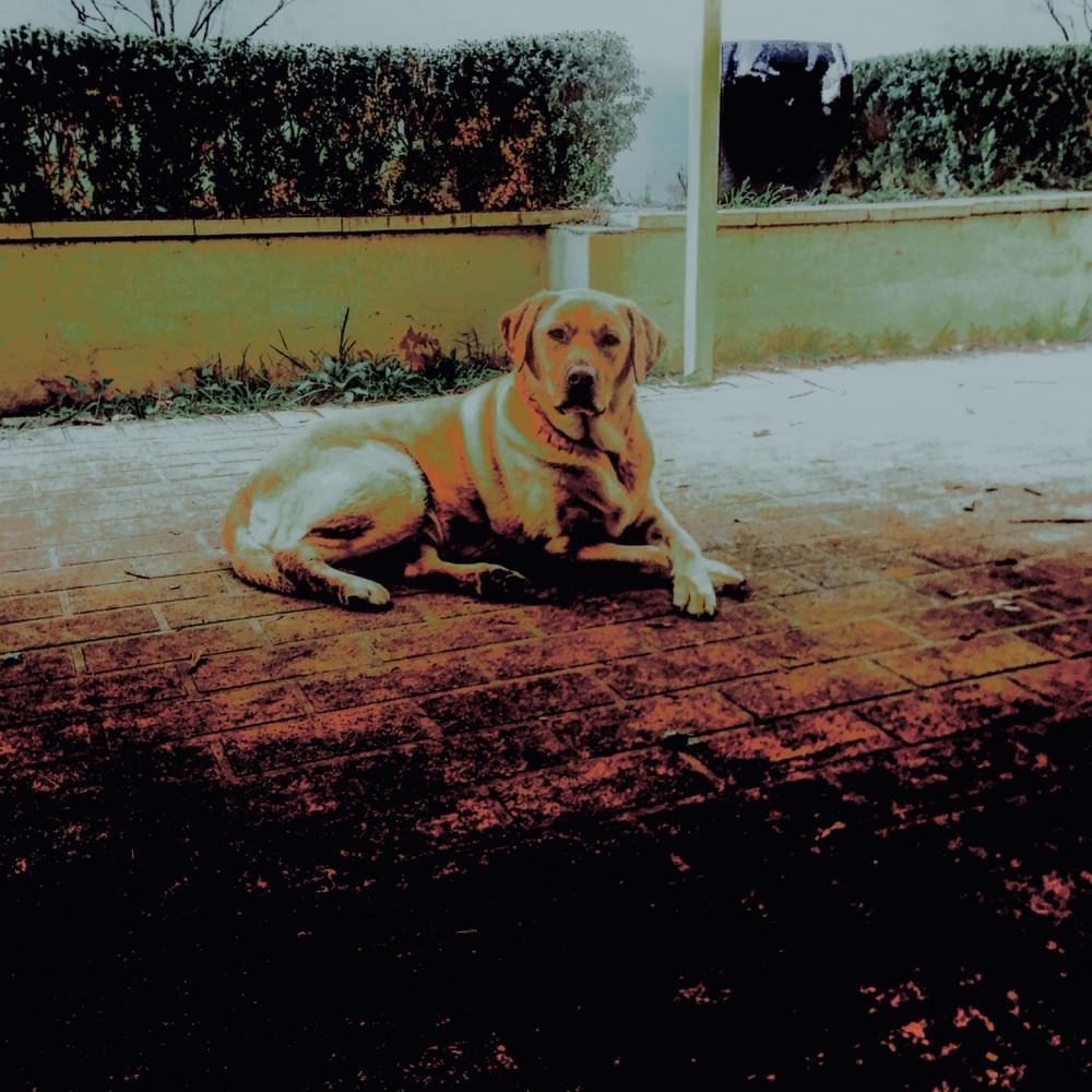 Sun - EP