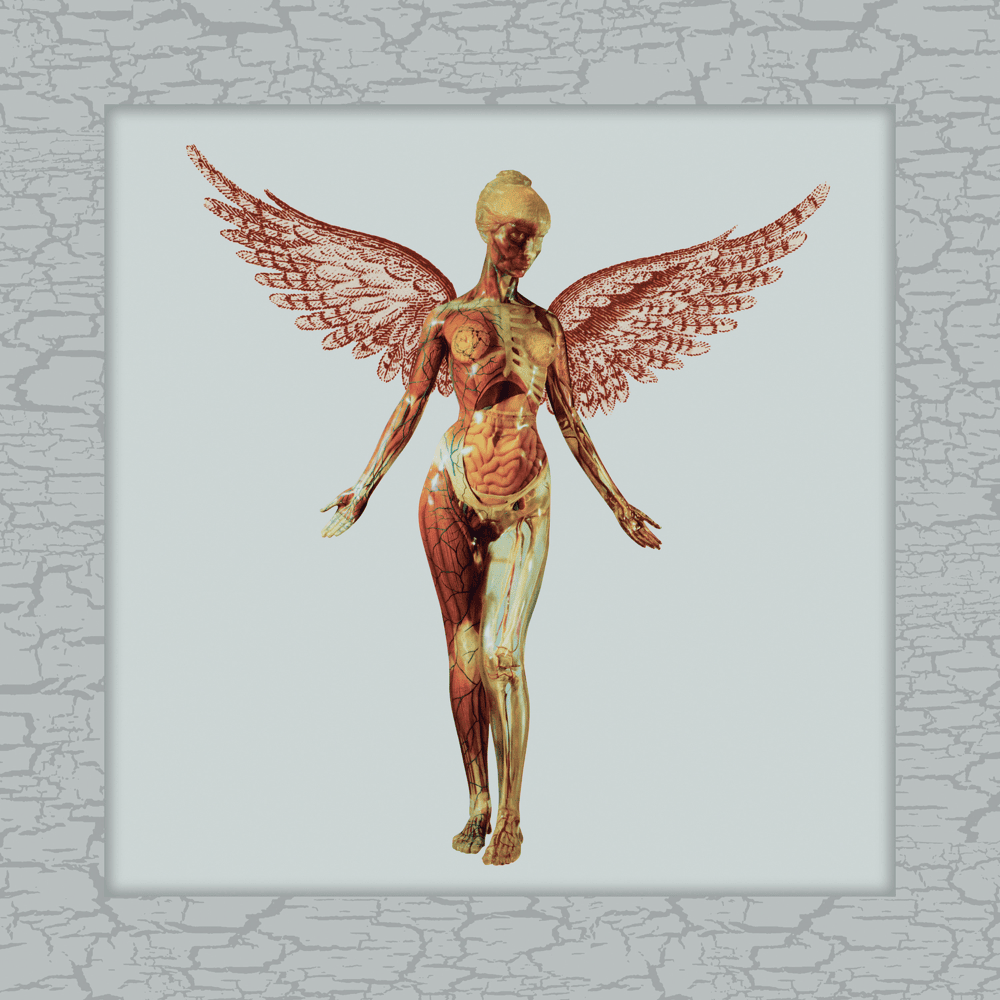 In Utero (30th Anniversary Edition)