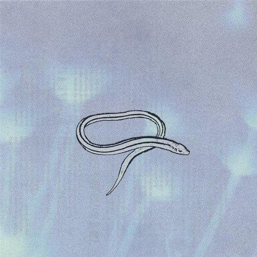 Bring On the Snakes
