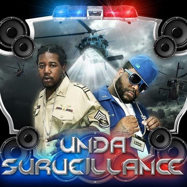 Unda Surveillance