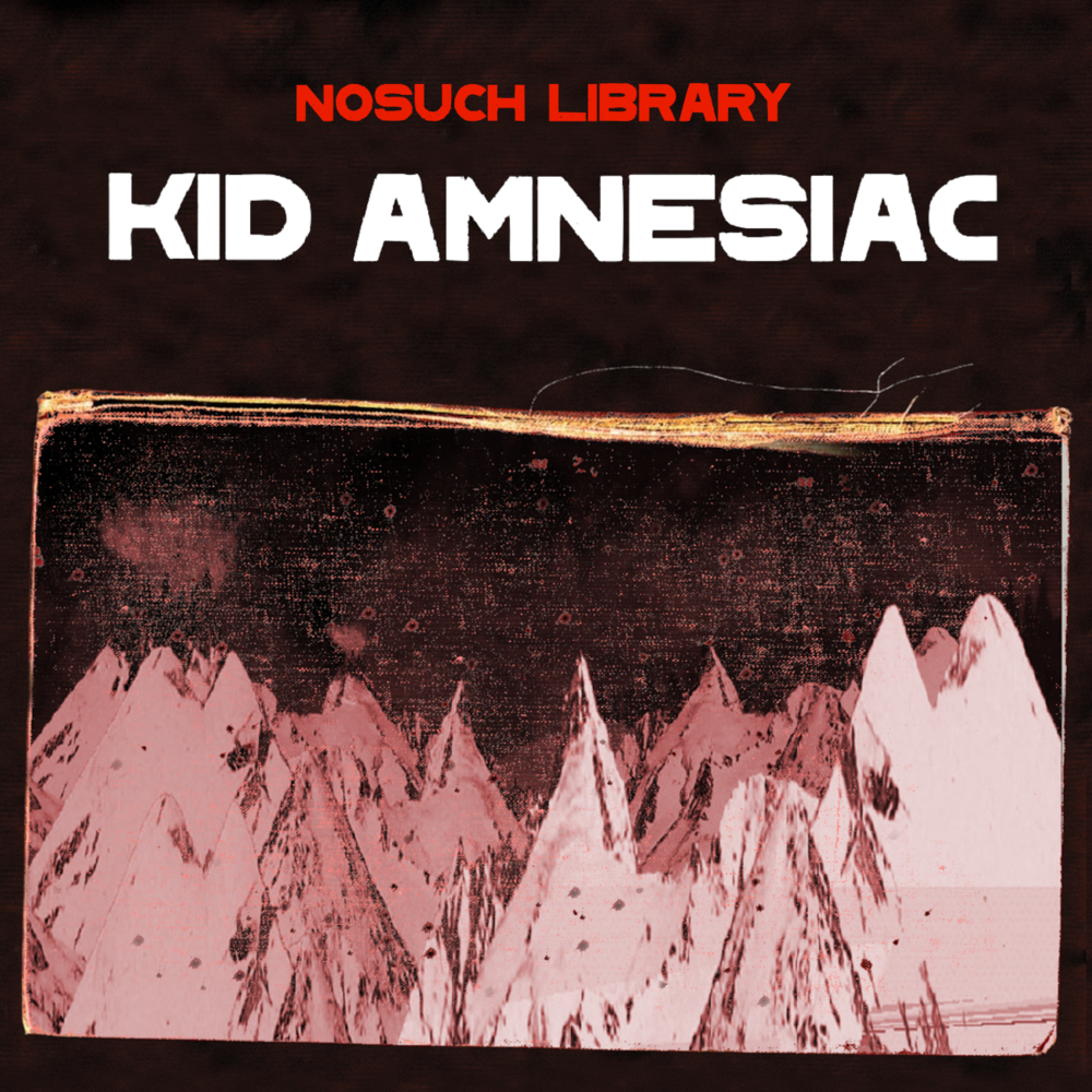 Kid Amnesiac (Canceled)