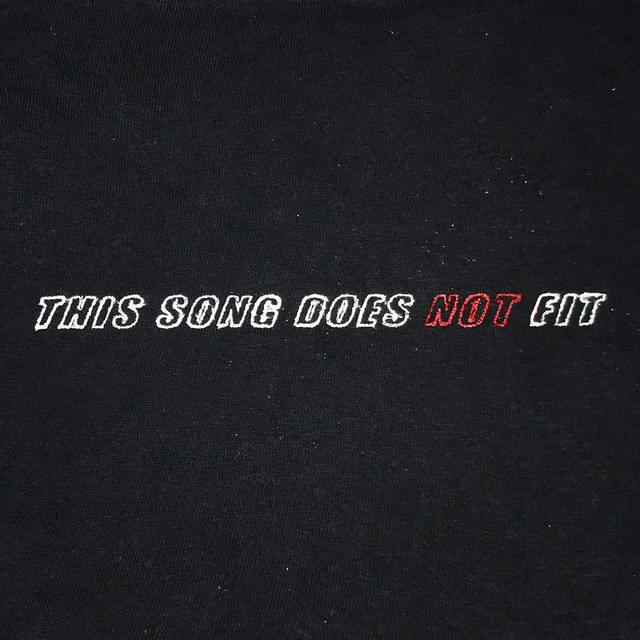 This Song Does Not Fit 