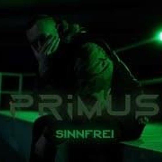 Sinnfrei - Single