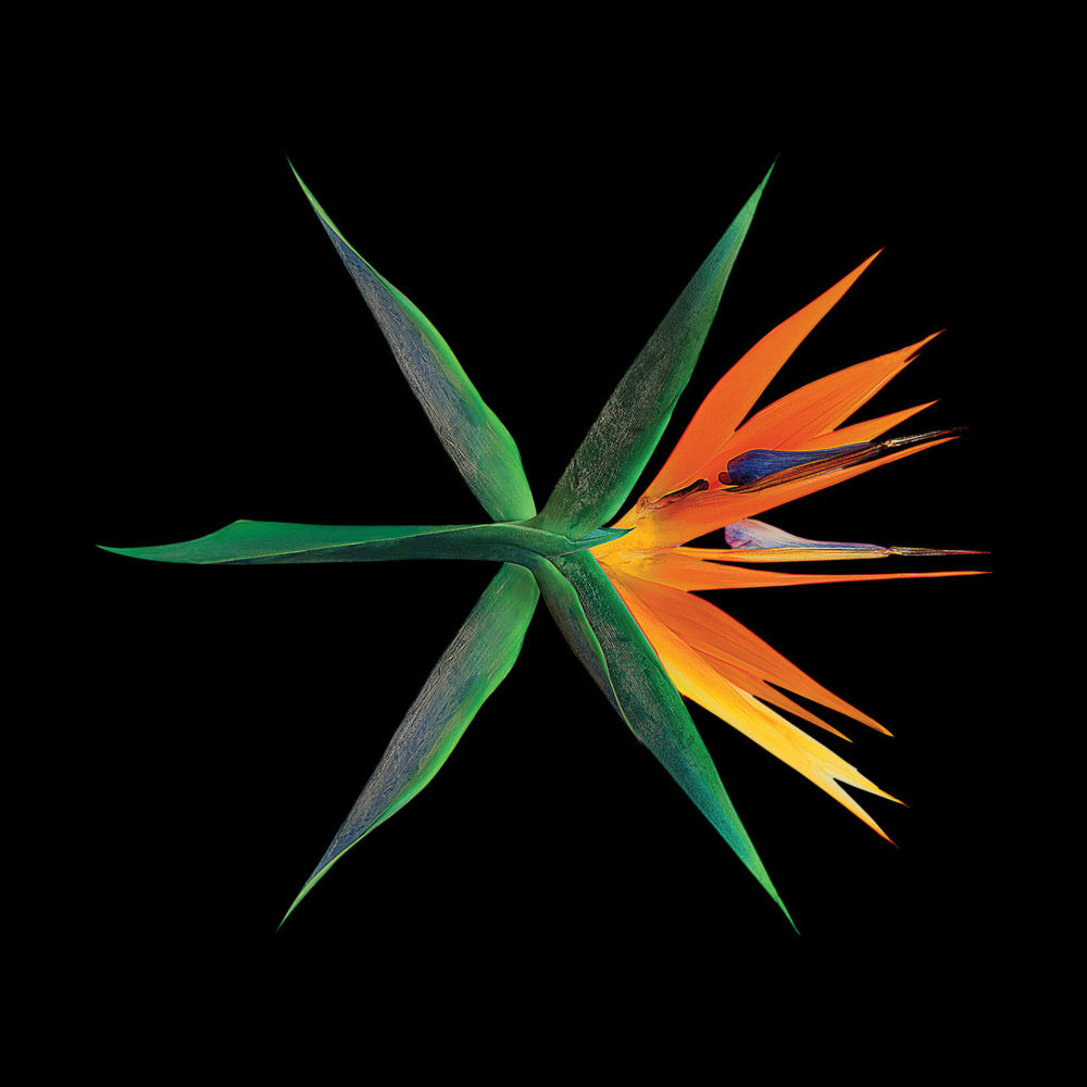 The War (Chinese Ver.)