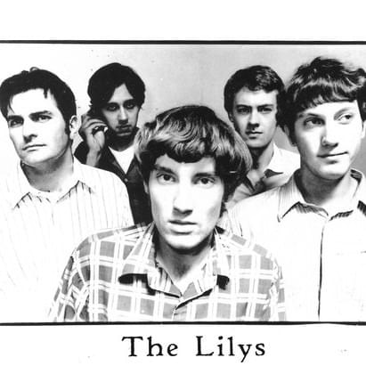 Lilys