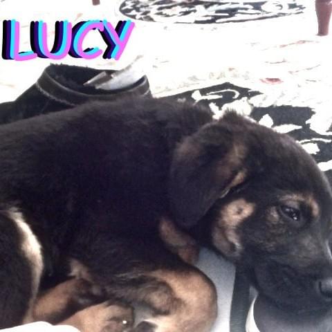 Lucy (EP)