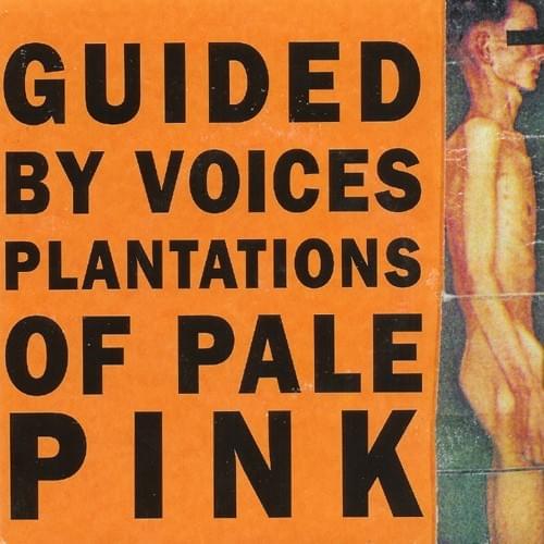 Plantations of Pale Pink - EP