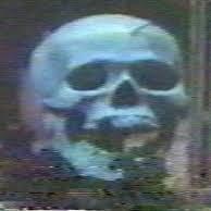 Unknown Muerto
