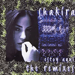 Estoy Aquí (The Remixes)