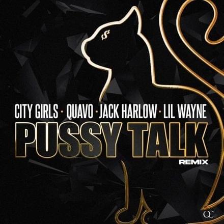 Pussy Talk (The Remixes)