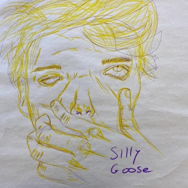 Silly Goose
