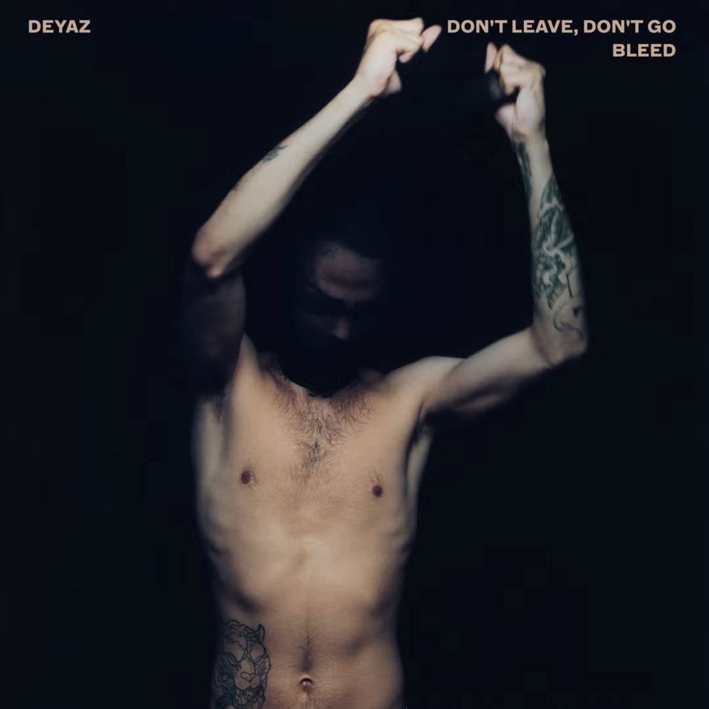 Don't Leave, Don't Go / Bleed - Single