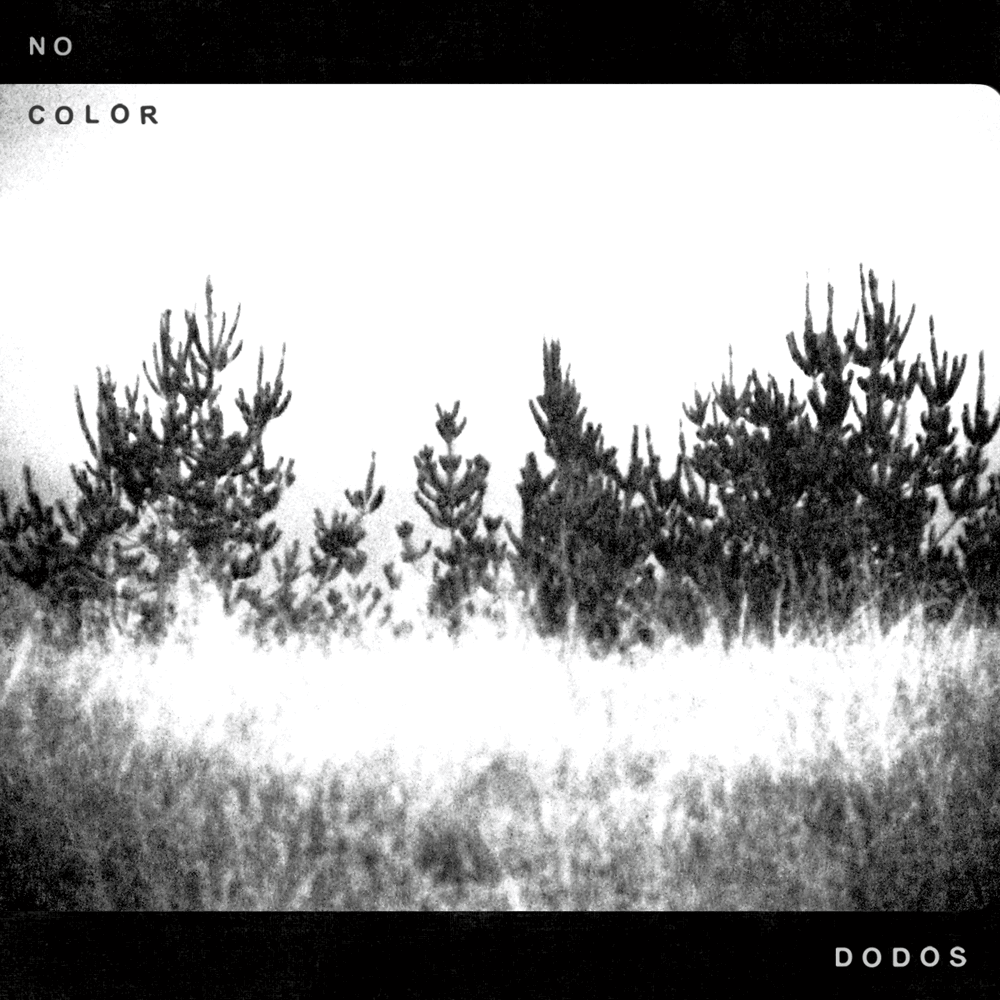 No Color