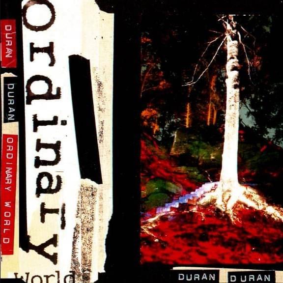 Ordinary World (Single Promo)
