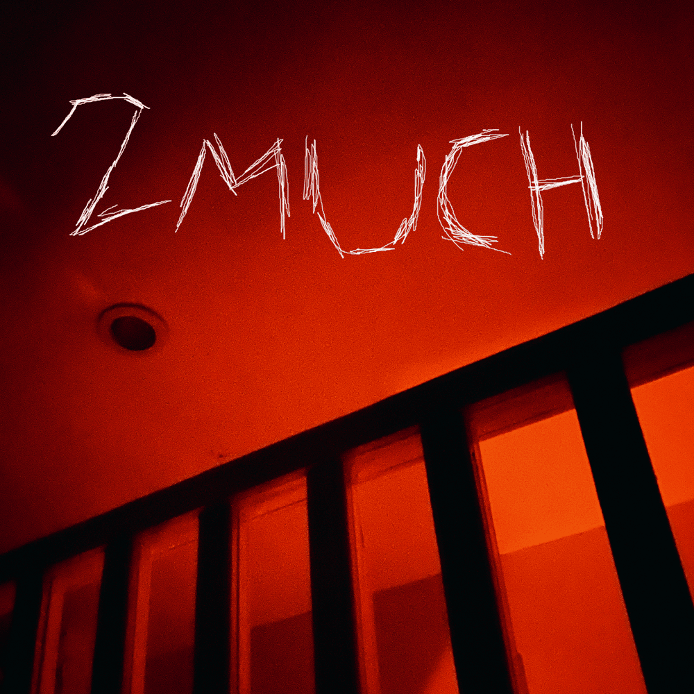2much - EP