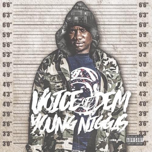 Voice Of Dem Young Niggas