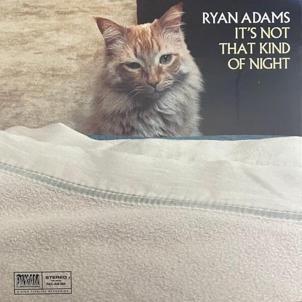 It’s Not That Kind of Night - Single