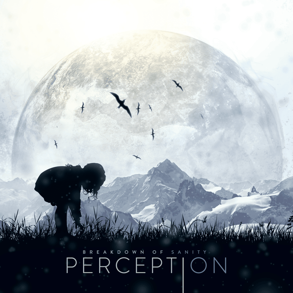 Perception 