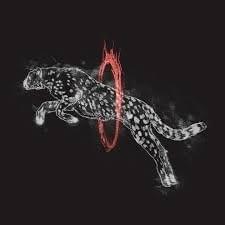 Through Fire