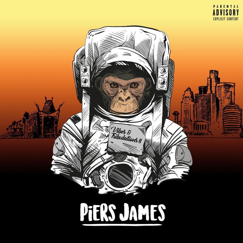 Vibes & Tribulations II 