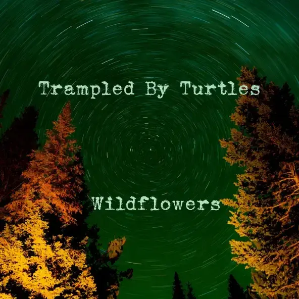 Wildflowers - 7" Single
