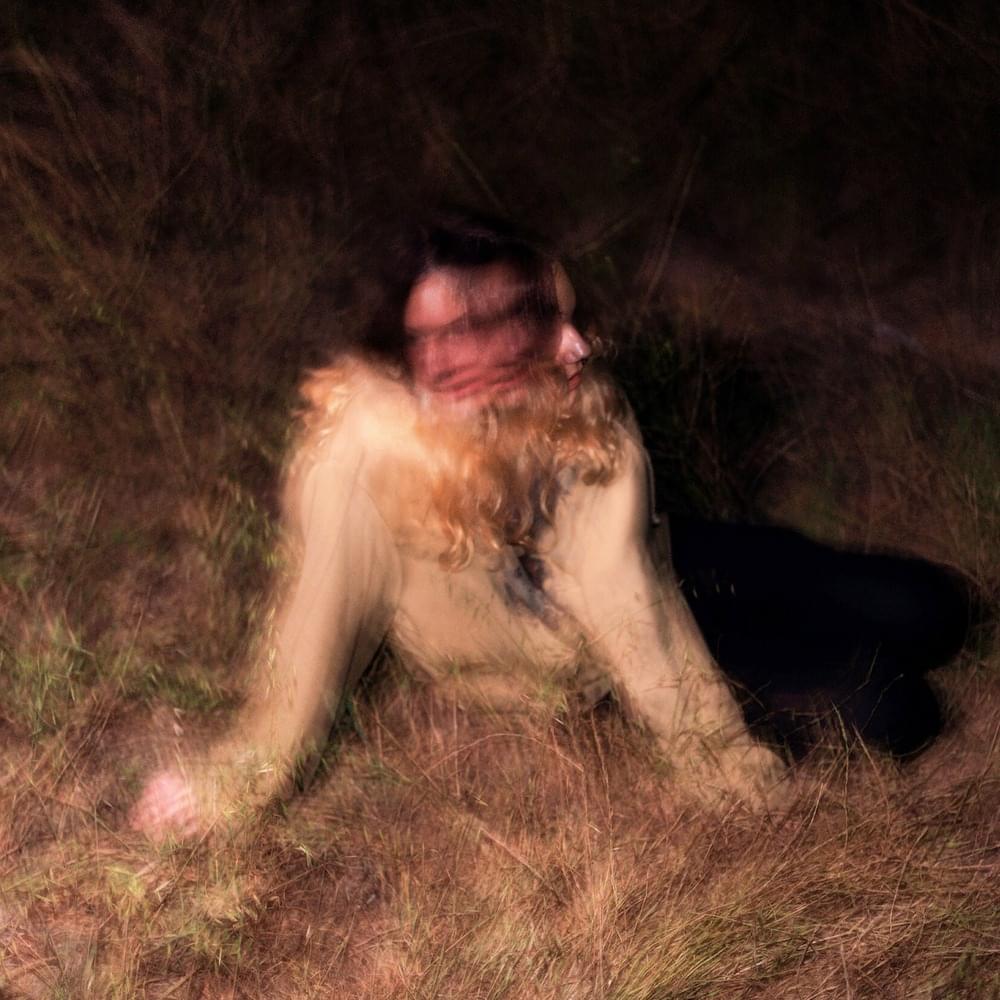 IN DUST AND ROT (Bandcamp Preorder Edition)