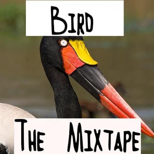 Bird the Mixtape
