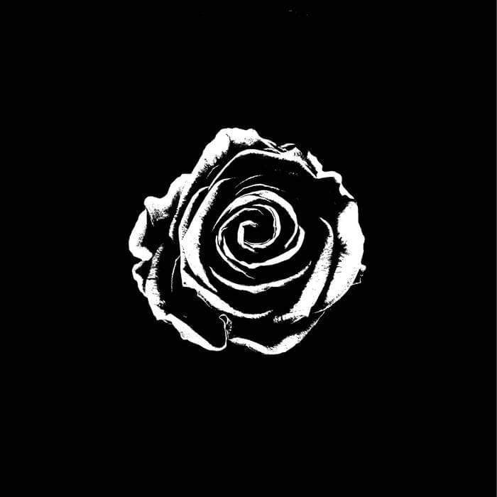 Into The Silence - Single