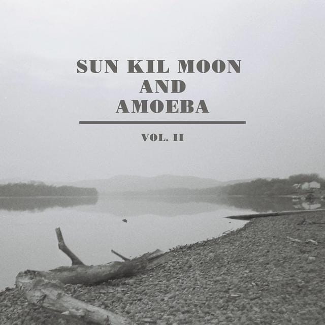 Sun Kil Moon and Amoeba, Vol. II