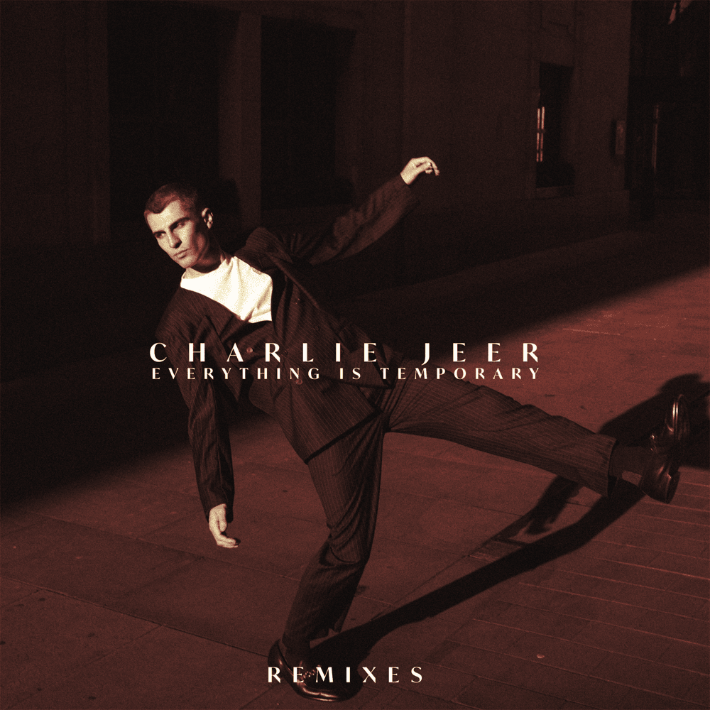 Everything Is Temporary (Remixes)