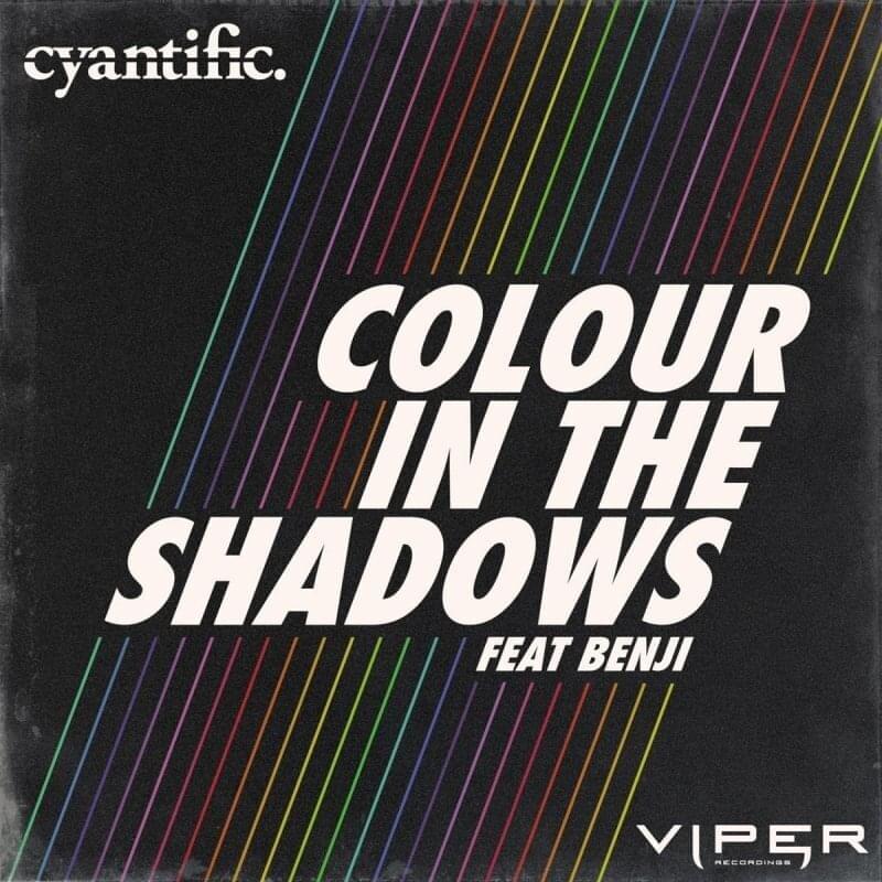 Colour In The Shadows