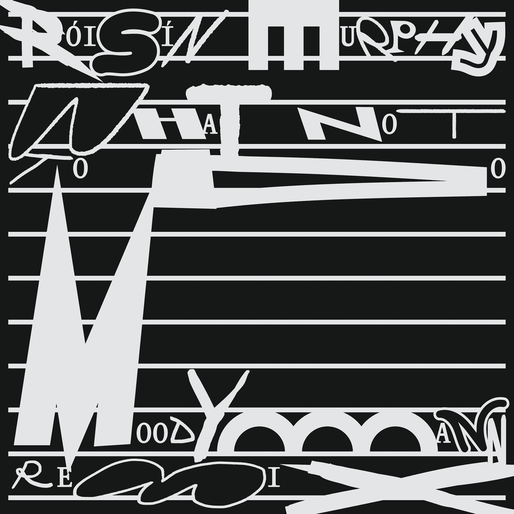 What Not to Do (Moodymann Remix) - Single