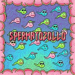 SPERMATOZOLLO