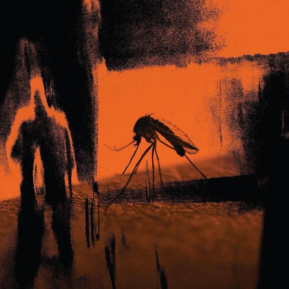 Faster Than the Radio / Mosquito