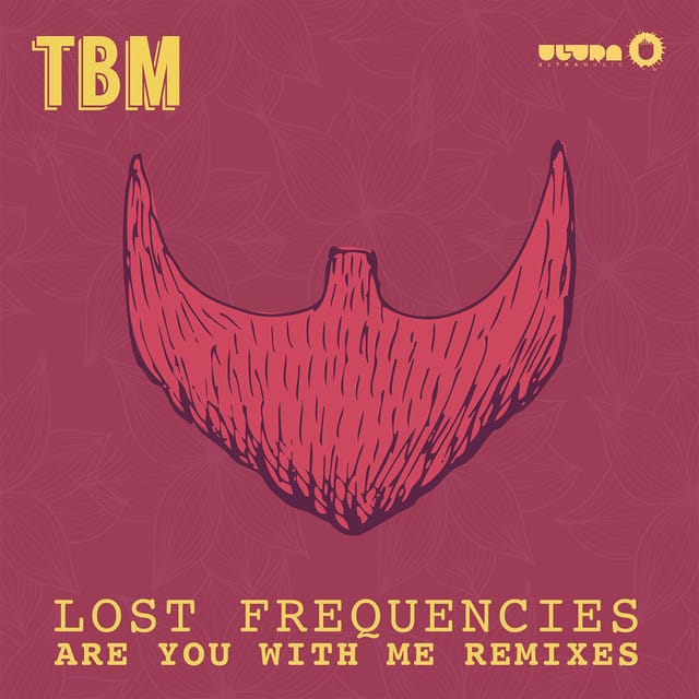 Are You With Me (Remixes)